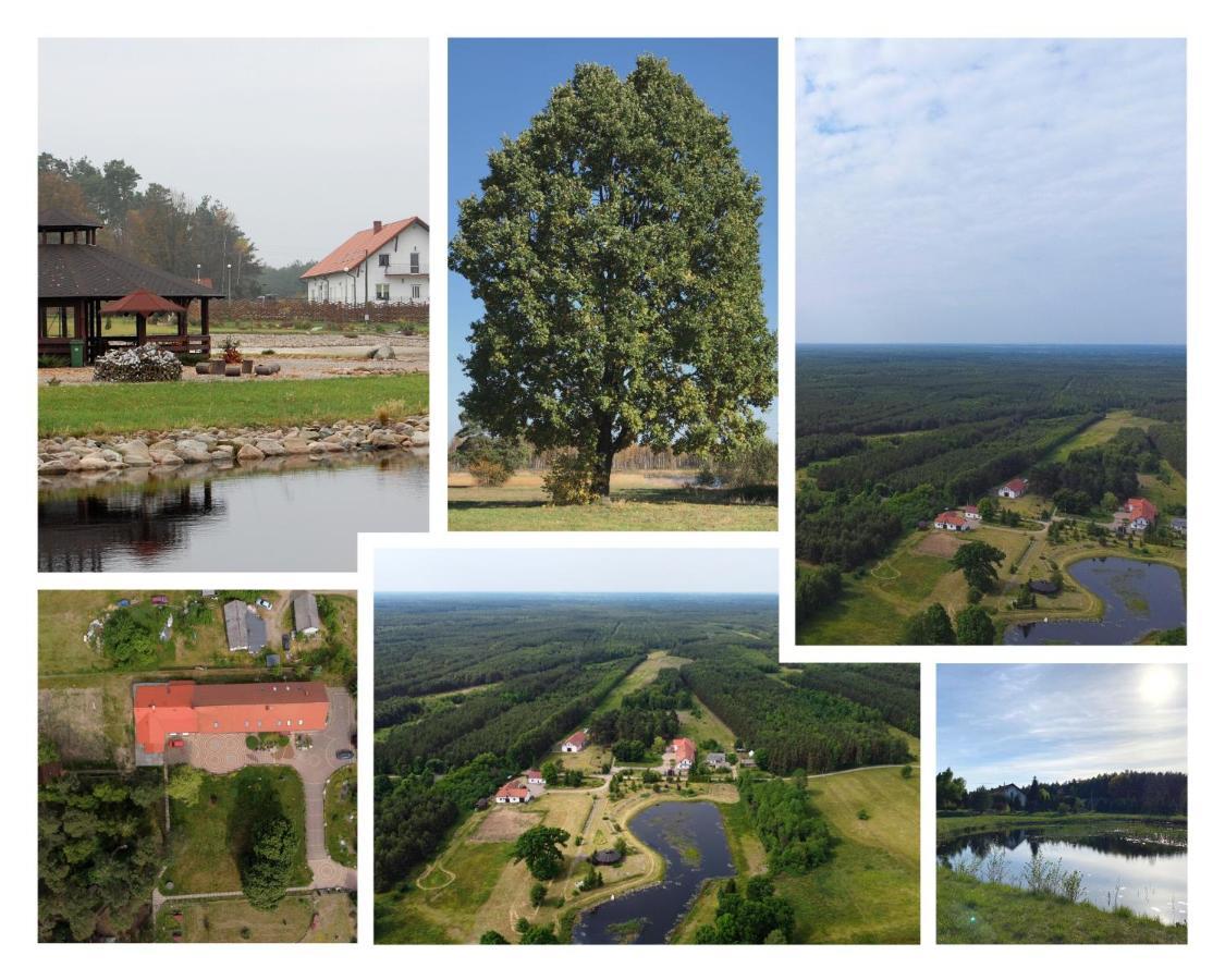 Gospodarstwo Agroturystyczne Zasadkowe Bory Rogowo  Экстерьер фото