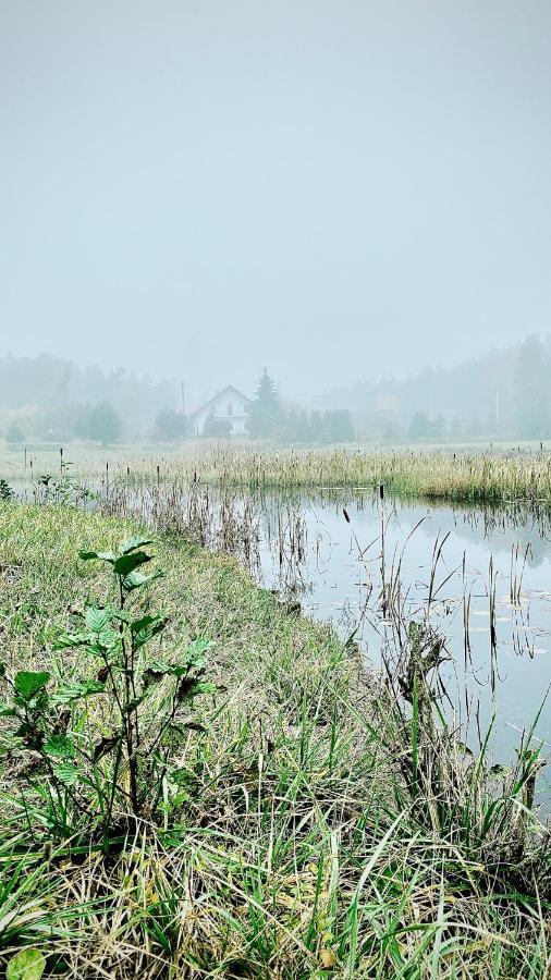 Gospodarstwo Agroturystyczne Zasadkowe Bory Rogowo  Экстерьер фото